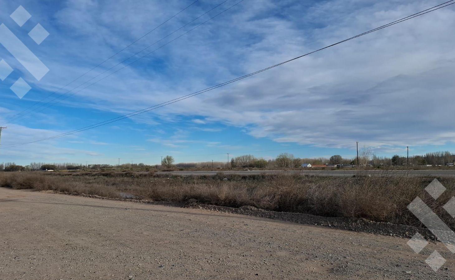 Foto de En Venta | 2,31 Hectareas | Sobre Ruta 22 | Plottier, imagen 3