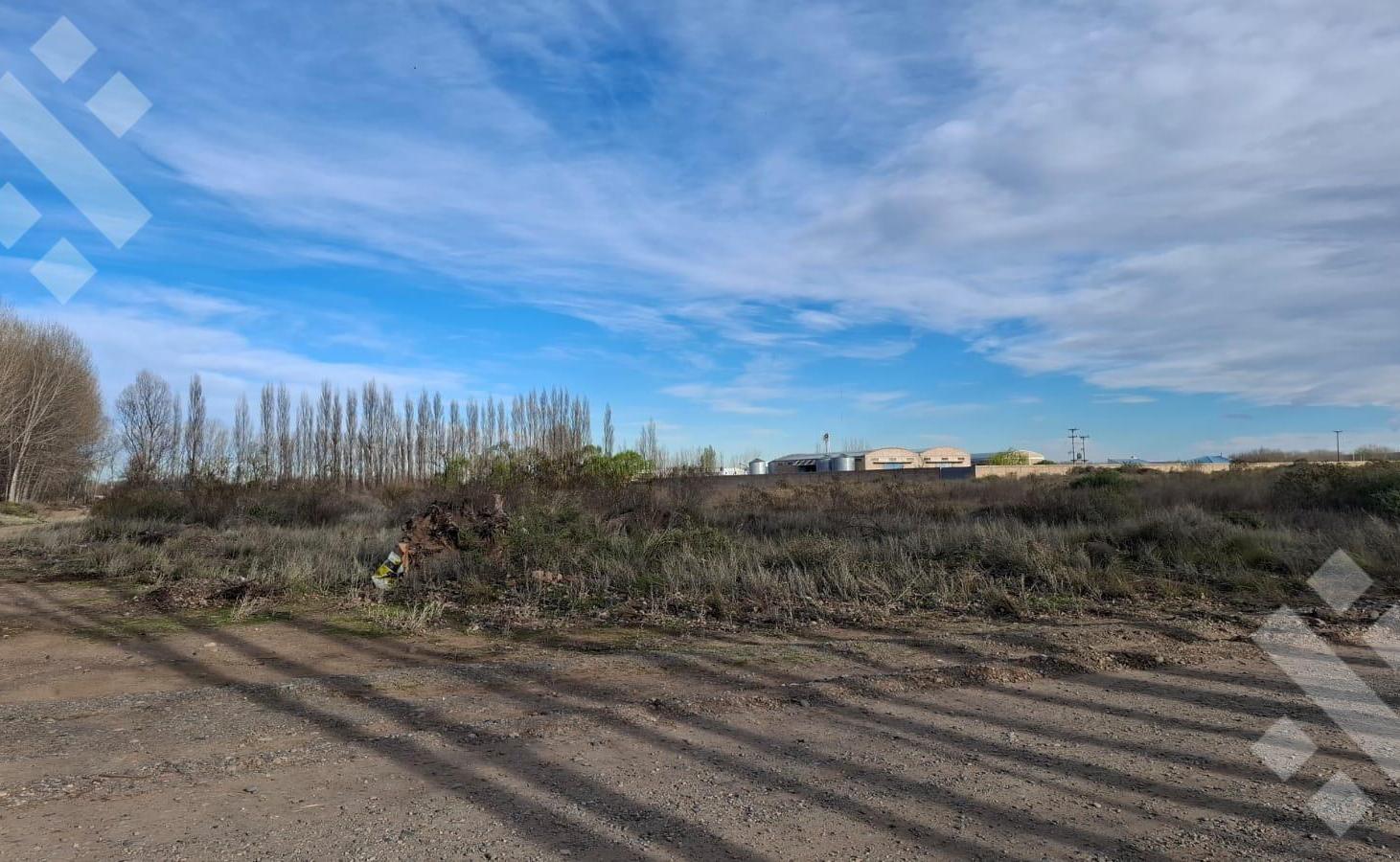 Foto de En Venta | 2,31 Hectareas | Sobre Ruta 22 | Plottier, imagen 4