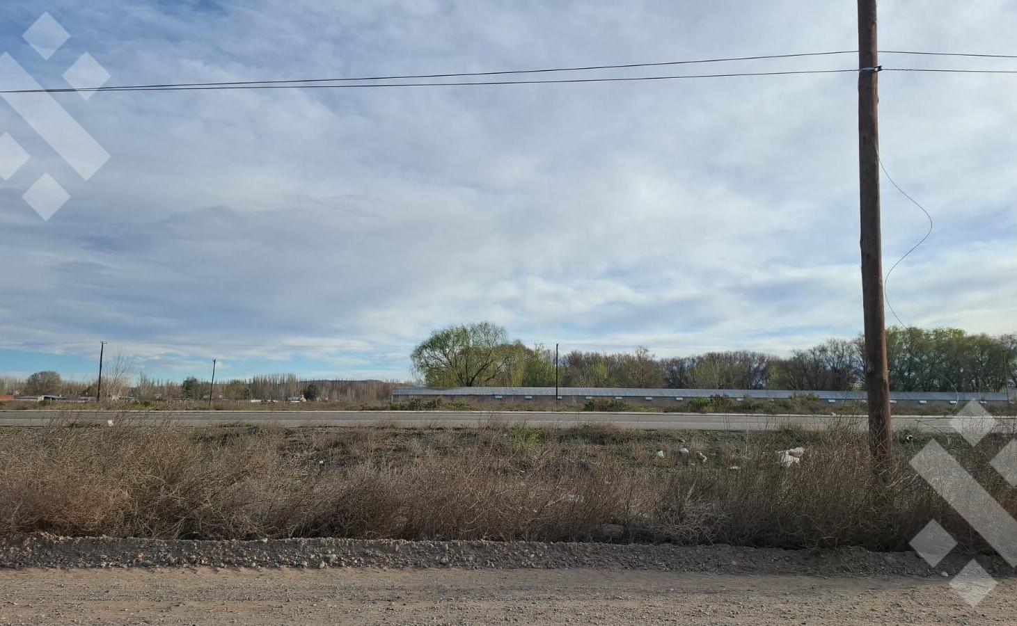 Foto de En Venta | 2,31 Hectareas | Sobre Ruta 22 | Plottier, imagen 5