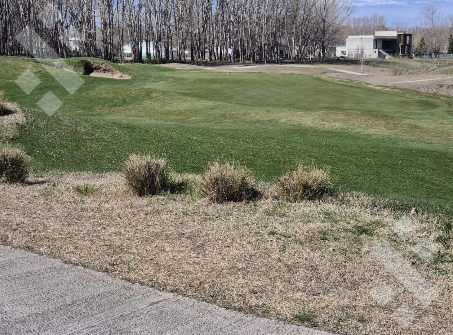 Foto de Venta de Lote en Los Canales de Plottier, imagen 3