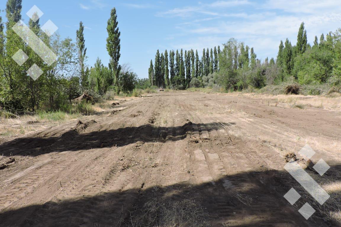 Foto de Lote "Loteo Dipp" Neuquen 250 m2, imagen 1