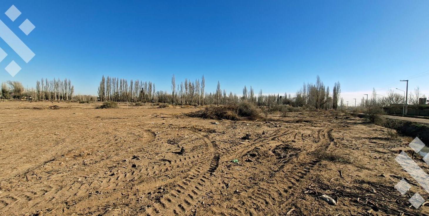 Foto de Lote "Loteo Dipp" Neuquen 250 m2, imagen 2