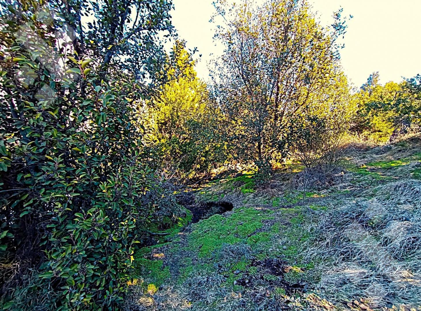 Foto de Venta lote 540 m2 - B.º Valle Chapelco - San Martin de los Andes, imagen 2