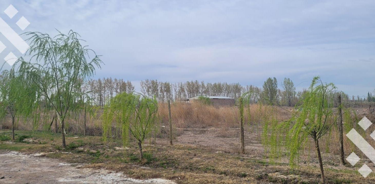 Foto de Loteo Industrial Privado 1.086 m2 - Fernandez Oro - Río Negro, imagen 5