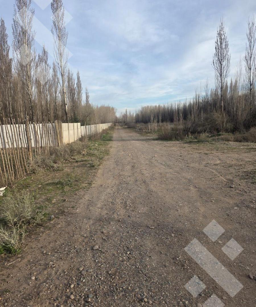 Foto de En Venta | Lote de 378 m2 | Loteo Alto Jardin | Plottier, imagen 5