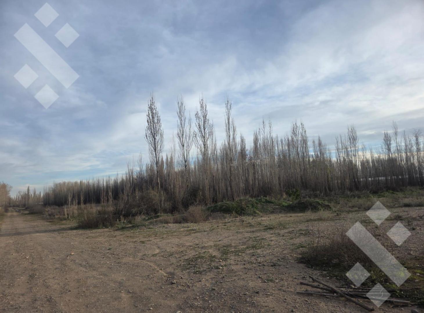 Foto de En Venta | Lote de 378 m2 | Loteo Alto Jardin | Plottier, imagen 2