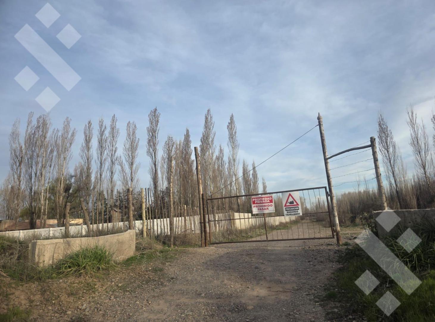 Foto de En Venta | Lote de 378 m2 | Loteo Alto Jardin | Plottier, imagen 4