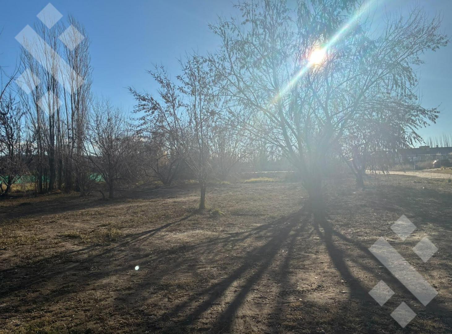 Foto de VENTA LOTE 900m2 - B° PRIVADO EL VERGEL, CENTENARIO, imagen 5