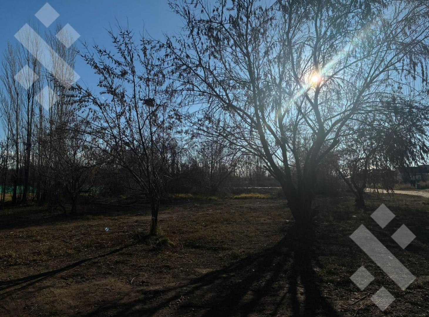 Foto de VENTA LOTE 900m2 - B° PRIVADO EL VERGEL, CENTENARIO, imagen 1