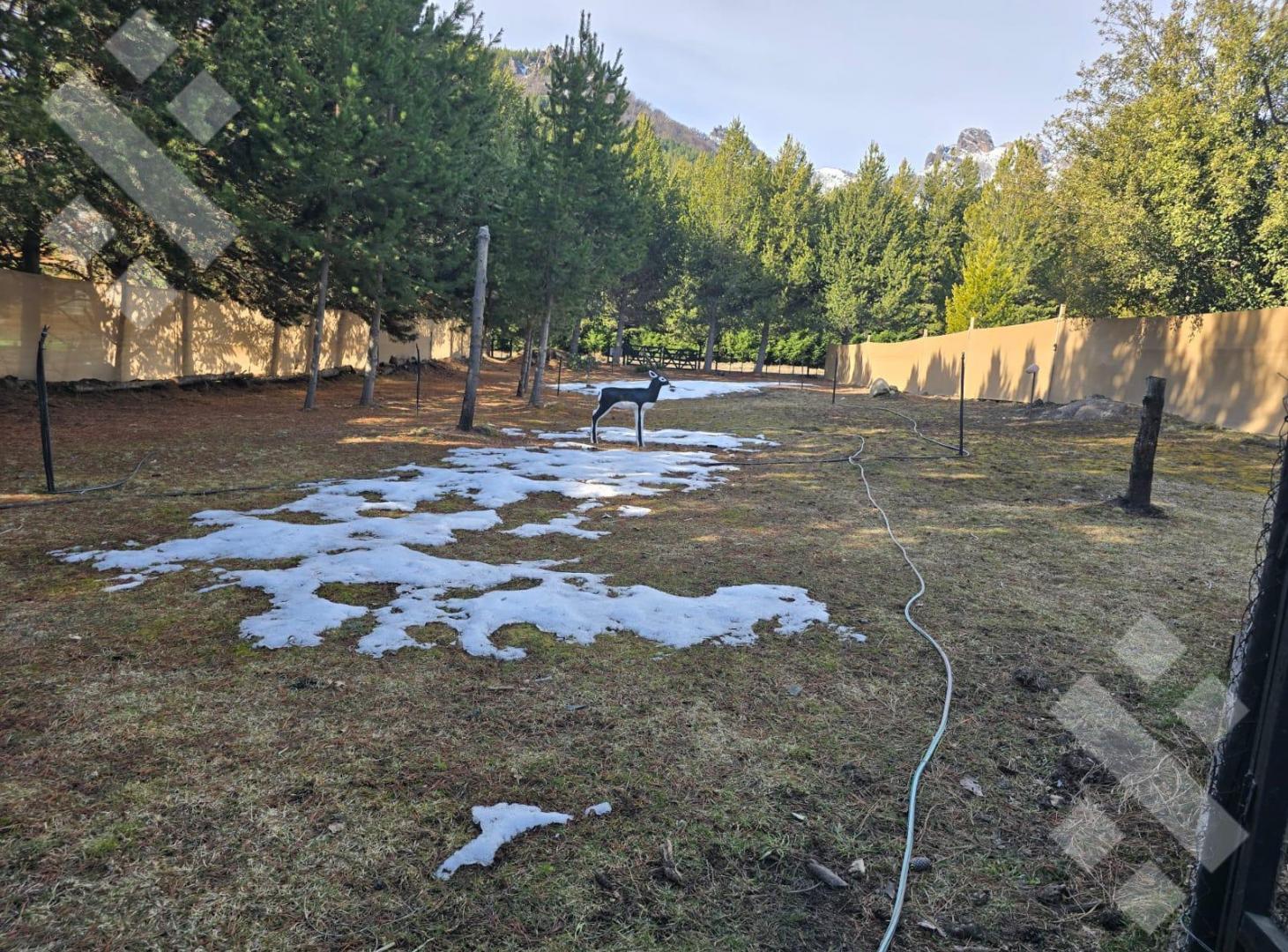Foto de Venta Lote 1000m2 - Meliquina - San Martin de los Andes, imagen 2