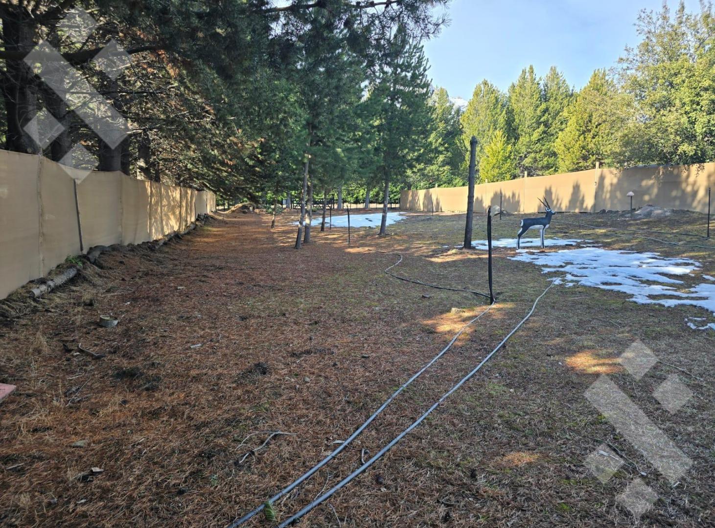 Foto de Venta Lote 1000m2 - Meliquina - San Martin de los Andes, imagen 1