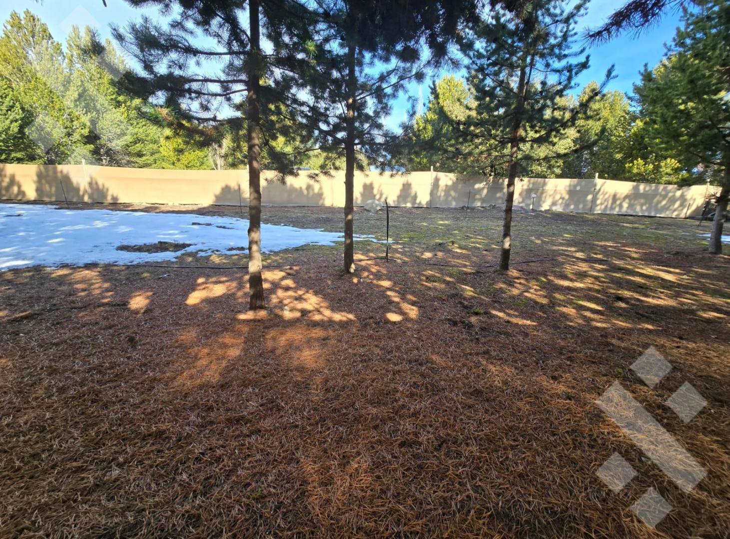 Foto de Venta Lote 1000m2 - Meliquina - San Martin de los Andes, imagen 3