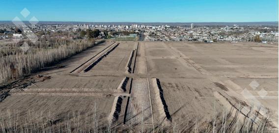 Foto de VENTA TERRENO LA GRAN ALAMEDA CIPOLLETTI RIO NEGRO, imagen 5