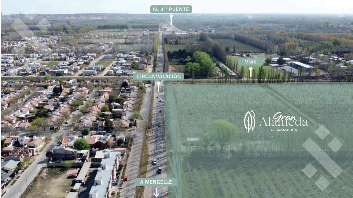 Foto de VENTA TERRENO LA GRAN ALAMEDA CIPOLLETTI RIO NEGRO, imagen 4