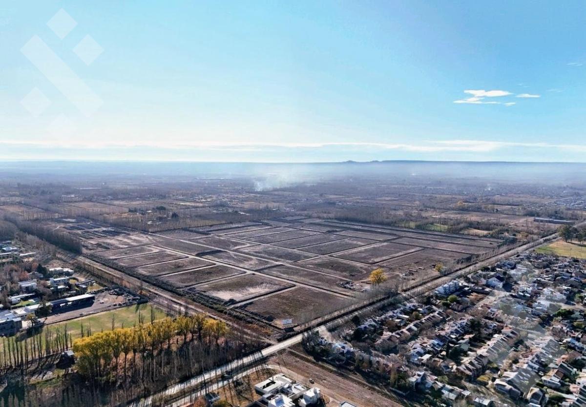 Foto de VENTA TERRENO LA GRAN ALAMEDA CIPOLLETTI RIO NEGRO, imagen 2