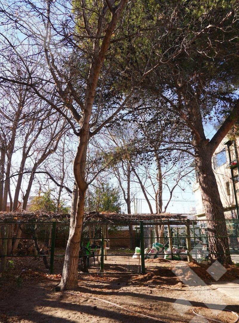 Foto de VENTA LOTE 437,5M2 (APTO DESARROLLO) - NEUQUÉN CAPITAL, imagen 3