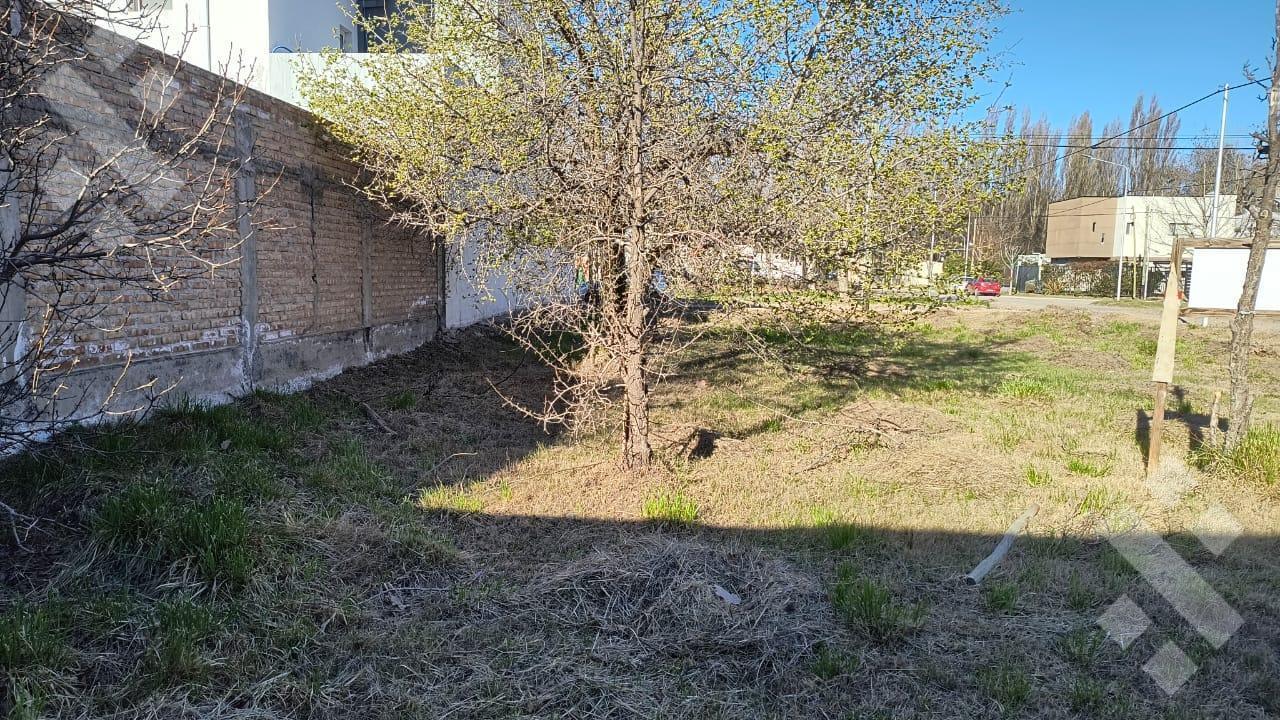 Foto de VENTA TERRENO DE 442 M2 EN PLOTTIER, imagen 3