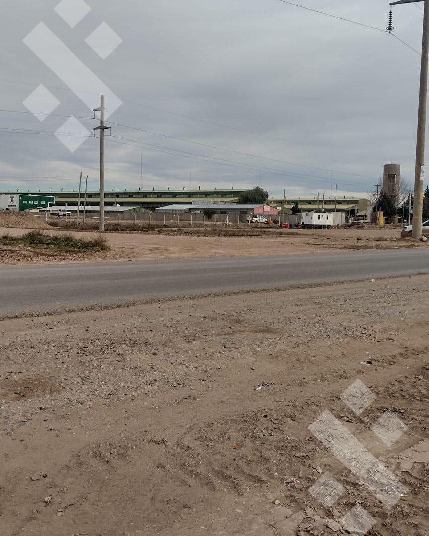 Foto de PARQUE AGROALIMENTARIO, imagen 4