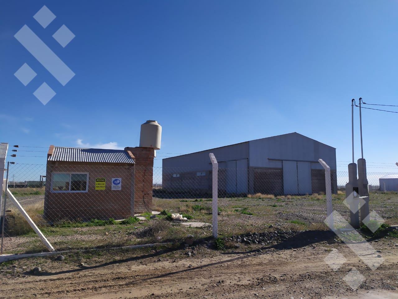 Foto de Galpón - Parque Industrial Centenario, imagen 4