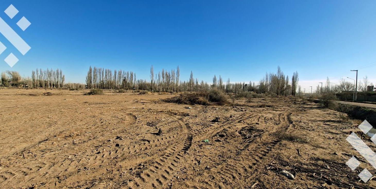 Foto de Lote 250m2 Loteo Dipp en Neuquén Capital, imagen 2