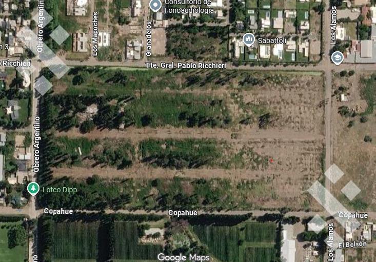 Foto de Lote 250m2 Loteo Dipp en Neuquén Capital, imagen 3