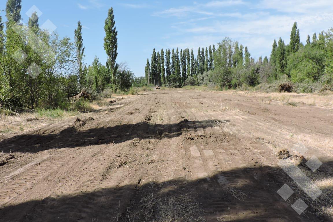 Foto de Terreno en Confluencia, imagen 2
