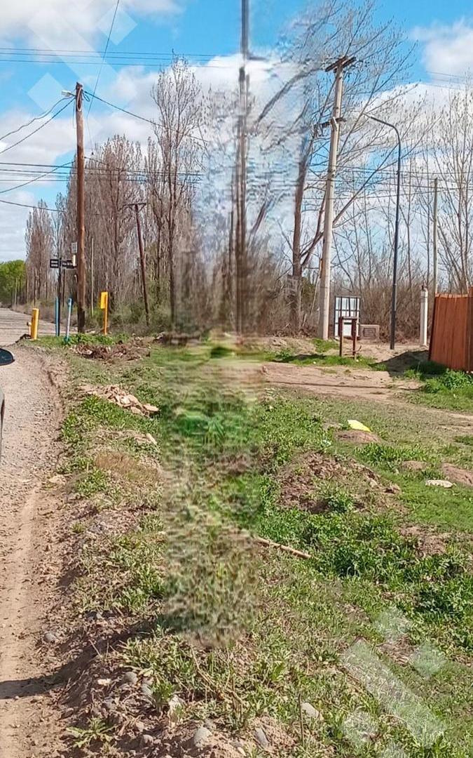 Foto de venta terreno, Barrio Los Nogales, Cipolletti., imagen 5
