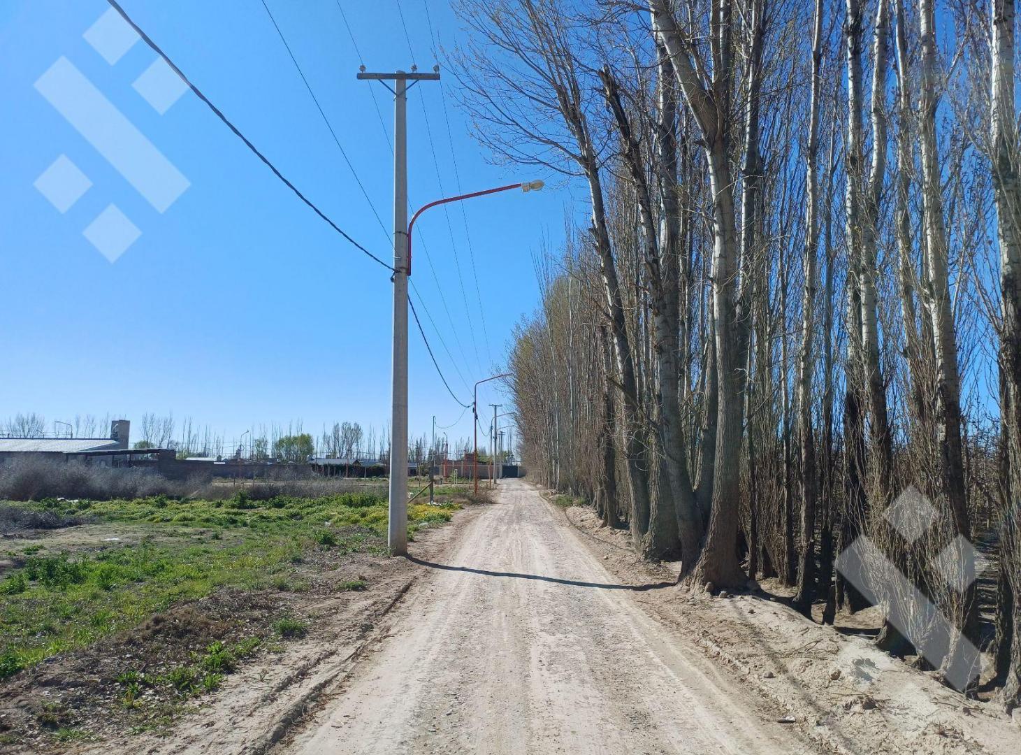 Foto de Terreno - Allen, imagen 1