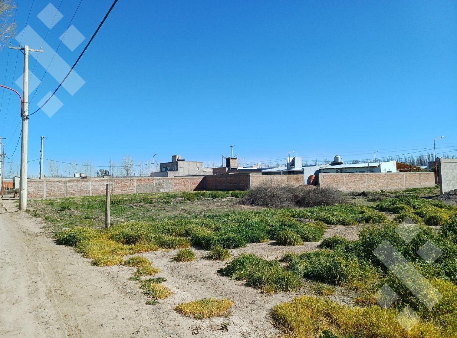 Foto de Terreno - Allen, imagen 5