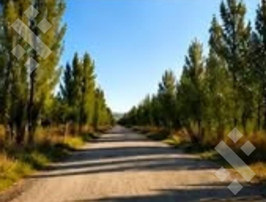 Foto de Terreno Loteo Don Federico, Ruta 65, Allen, imagen 1