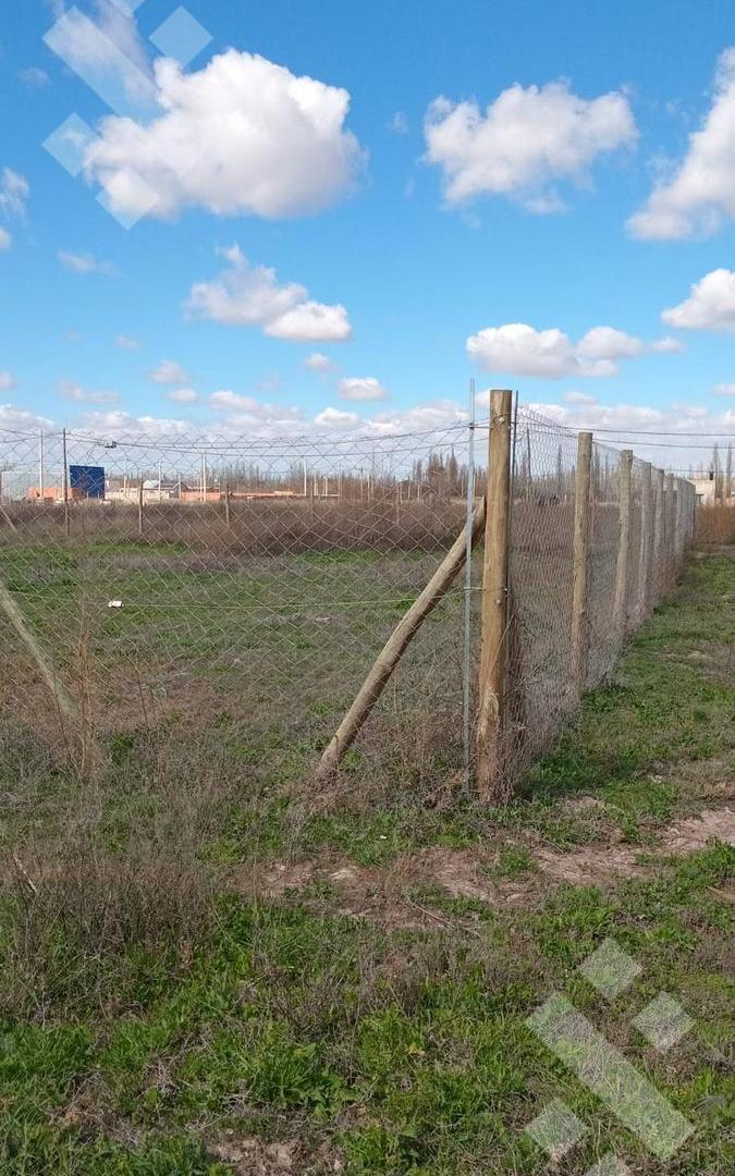 Foto de VENTA DE TERRENO BARRIO MARIA LUCINDA CIPOLLETTI, imagen 2