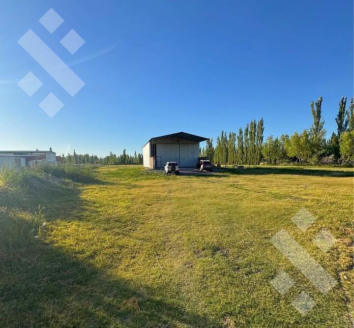 Foto de Venta de chacra con galpòn Colonia La Picasa - Cinco Saltos, imagen 2