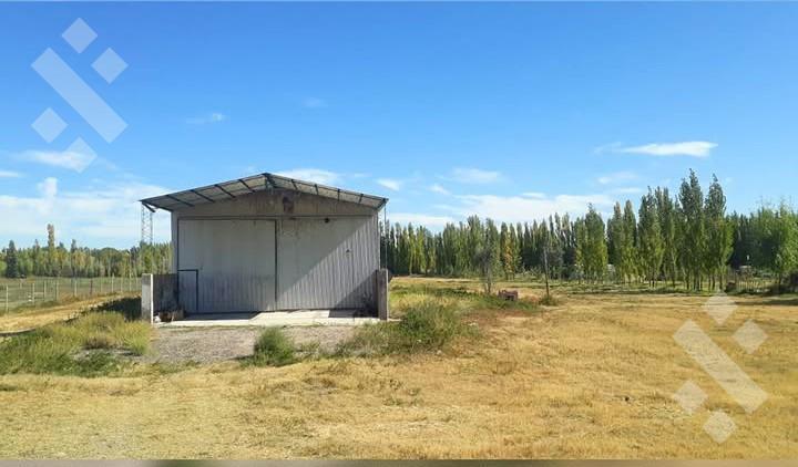 Foto de Venta de chacra con galpòn Colonia La Picasa - Cinco Saltos, imagen 4