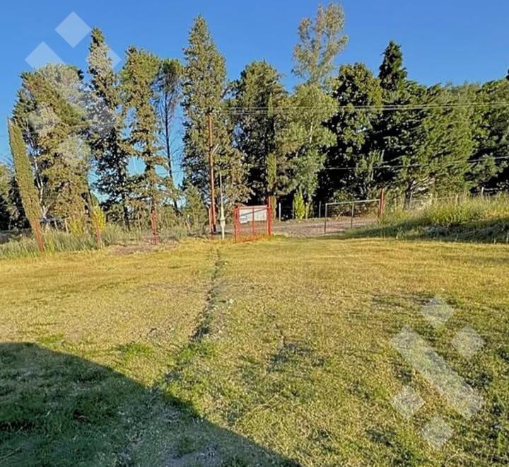 Foto de Venta de chacra con galpòn Colonia La Picasa - Cinco Saltos, imagen 1