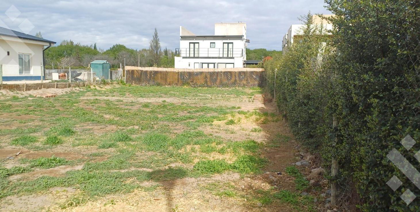 Foto de VENTA: TERRENO en B° CINCO SOLES- (Frente Plaza) - Cinco Saltos (RN), imagen 3