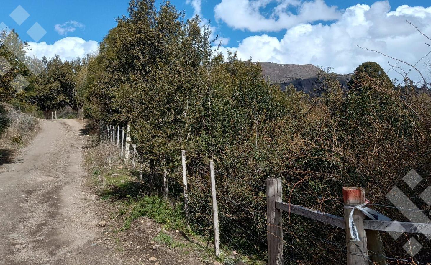 Foto de Venta lote 800 m2 - Chacay Bajo - Camino Cascada de Sepulveda - San, imagen 5