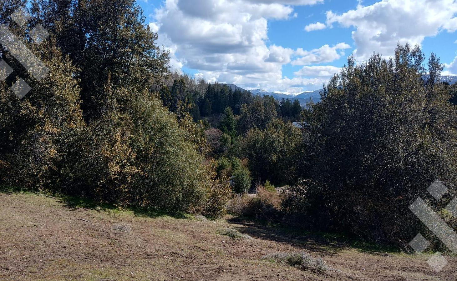 Foto de Venta lote 800 m2 - Chacay Bajo - Camino Cascada de Sepulveda - San, imagen 3