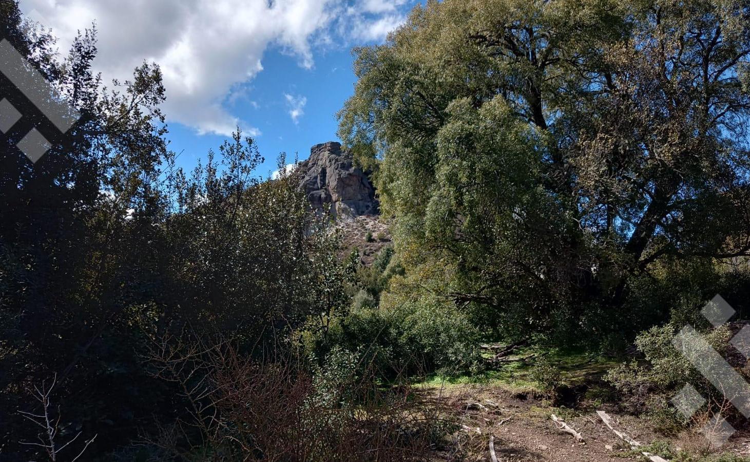 Foto de Venta lote 800 m2 - Chacay Bajo - Camino Cascada de Sepulveda - San, imagen 2