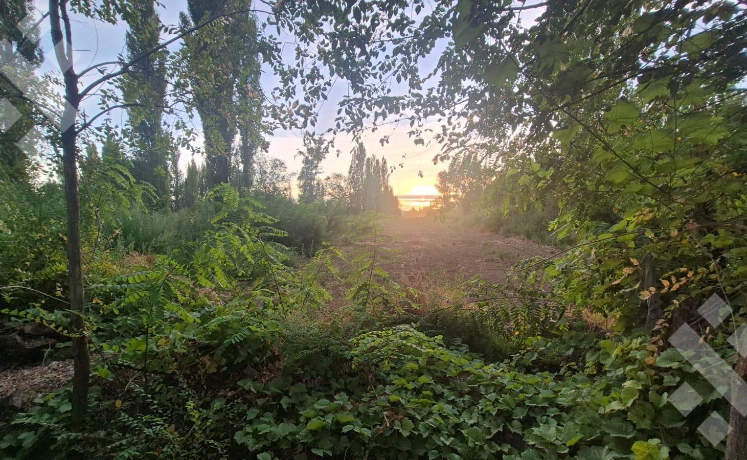 Foto de Terreno en Confluencia, imagen 2