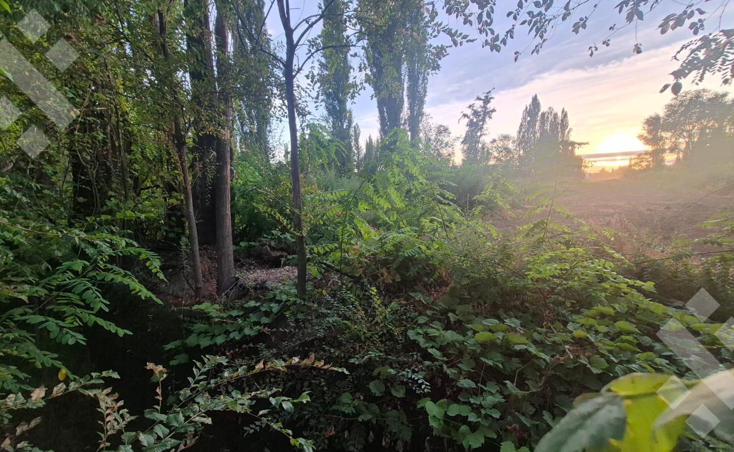 Foto de Terreno en Confluencia, imagen 3