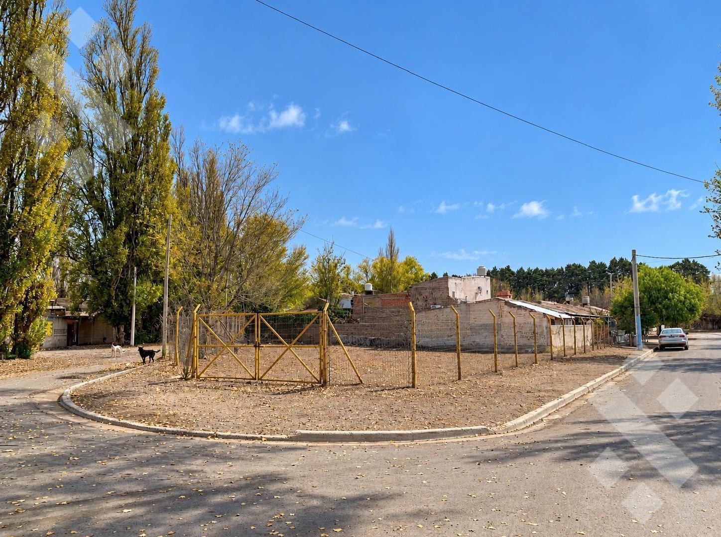 Foto de Terreno, imagen 1