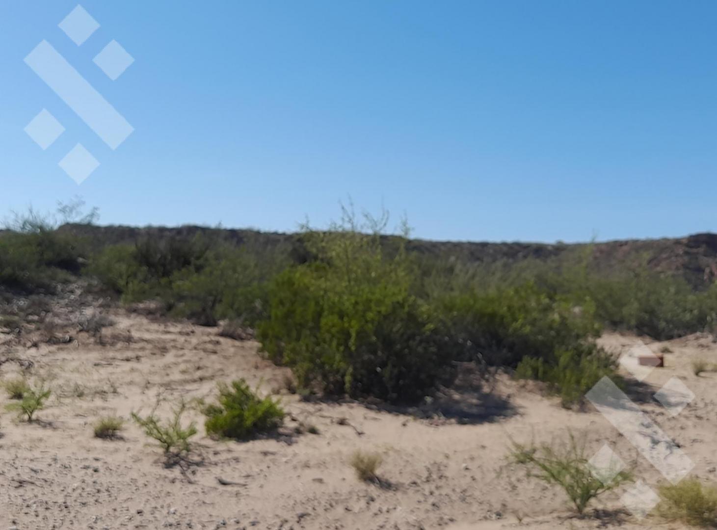 Foto de VENTA LOTE 700M2 VILLA ECOLOGICA RIO BARDA - ISLA JORDAN, CIPOLLETTI, imagen 5