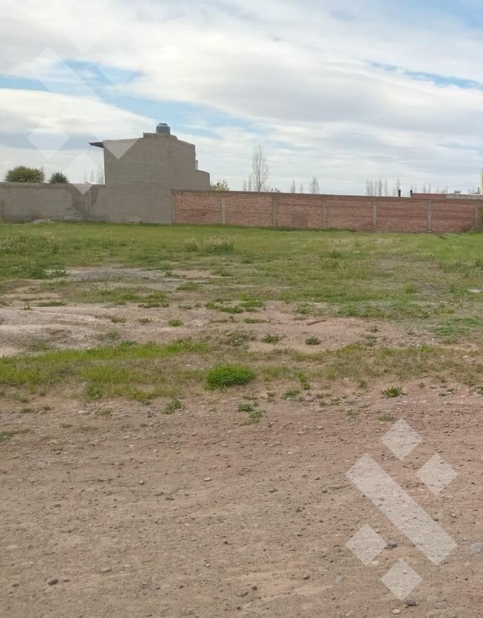 Foto de VENTA DE TERRENO BARRIO PIEDRAS BLANCA, imagen 4