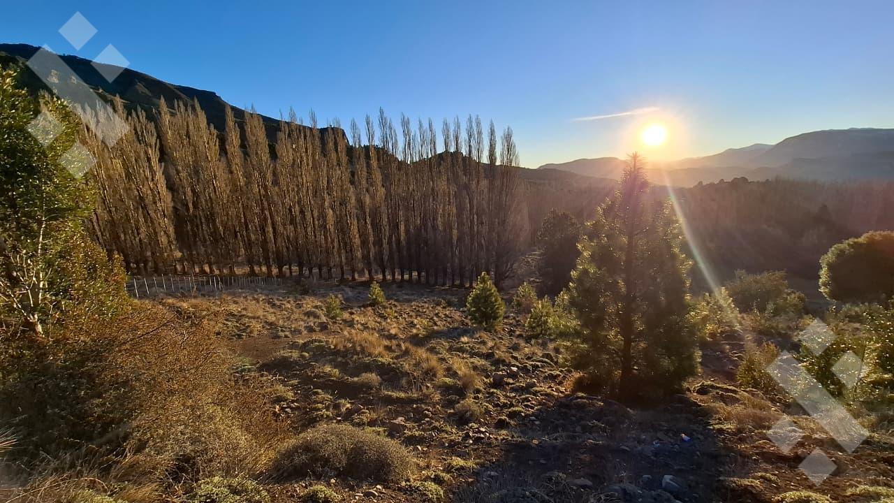 Foto de Venta de 1 Hectárea - Loteo Sepulveda - San Martin de los Andes, imagen 3