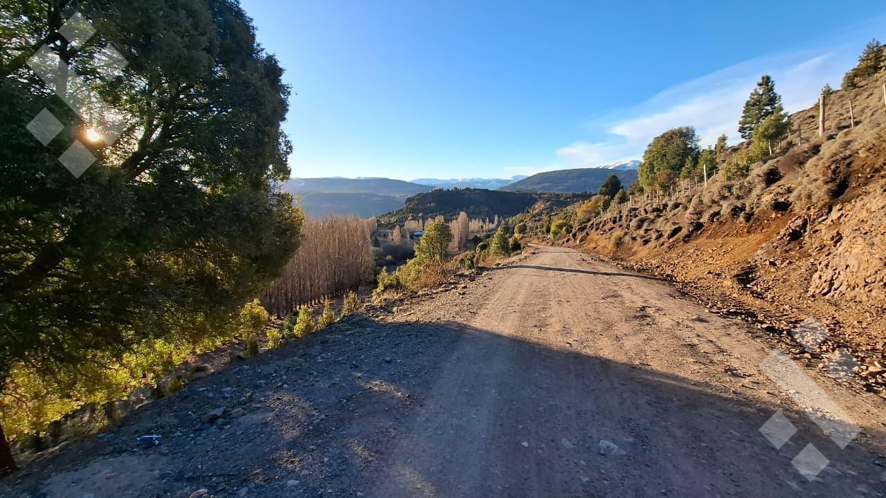 Foto de Venta de 1 Hectárea - Loteo Sepulveda - San Martin de los Andes, imagen 4