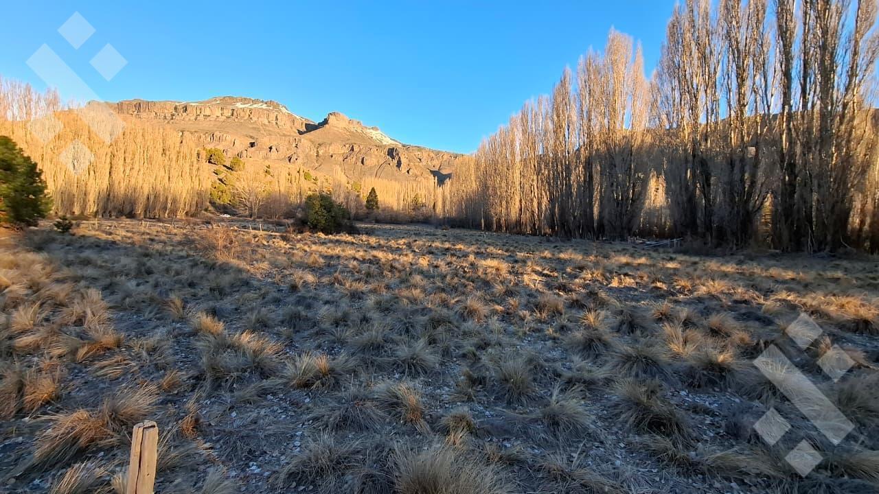 Foto de Venta de 1 Hectárea - Loteo Sepulveda - San Martin de los Andes, imagen 2