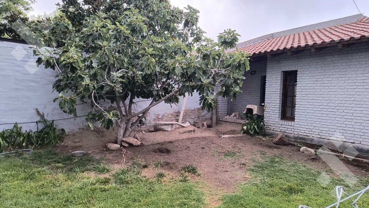 Foto de VENTA CASA 3 DORMITORIOS Bº MANZANAR CIPOLLETTI, imagen 4