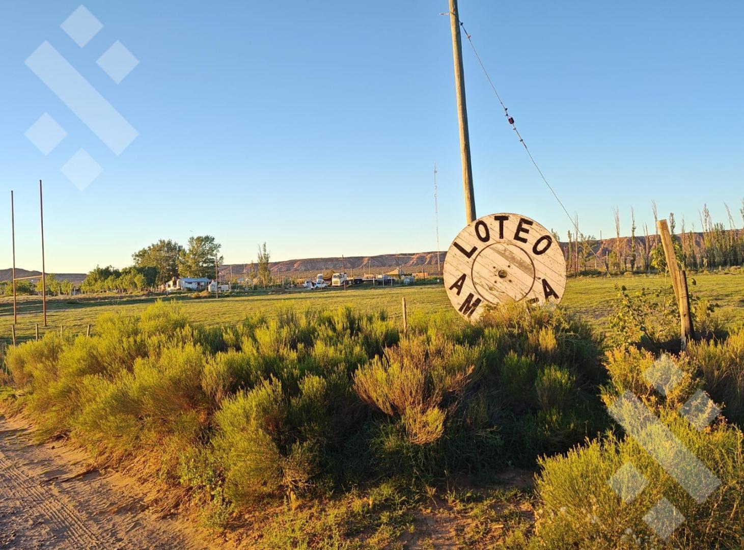 Foto de En venta Lote 300m2- Barrio Amedea- Plottier, imagen 4
