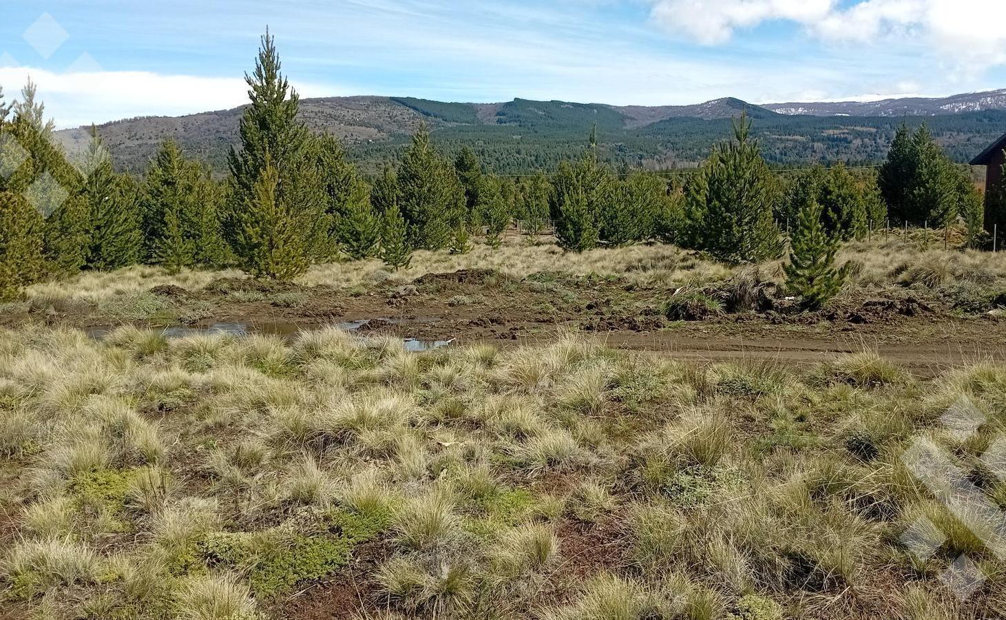 Foto de Venta lote 2400 m2 - Villa Quilquihue - Junin de los Andes, imagen 1