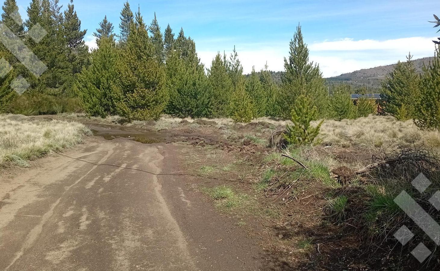 Foto de Venta lote 2400 m2 - Villa Quilquihue - Junin de los Andes, imagen 5